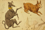 Constellations of Dog, Rabbit, Dove