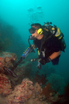 Using an Underwater Metal Detector