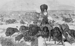 Hunters Shooting Bison From a Train