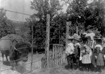 Children Looking at a Caged Bison