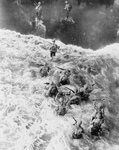 Marines in Water