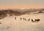 People and Horses on Folgefond Glacier
