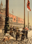 Feeding Birds Near Doges’ Palace and Columns, Venice