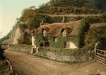 Ivy Covered Cottage in England