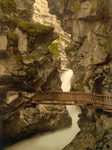 Wood Path Through a Gorge, Switzerland
