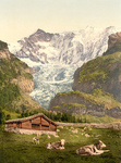 Livestock and Barn Near Baregg Glacier, Switzerland