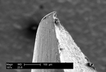 Roughened Prong Surface of a Bifurcated Smallpox Vaccination Needle