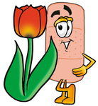Clip art Graphic of a Bandaid Bandage Cartoon Character With a Red Tulip Flower in the Spring
