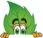 Clip Art Graphic of a Green Tree Leaf Cartoon Character Peeking Over a Surface