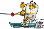 Clip Art Graphic of a Human Molar Tooth Character Waving While Water Skiing
