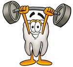 Clip Art Graphic of a Human Molar Tooth Character Holding a Heavy Barbell Above His Head