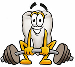 Clip Art Graphic of a Human Molar Tooth Character Lifting a Heavy Barbell