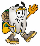 Clip Art Graphic of a Human Molar Tooth Character Hiking and Carrying a Backpack