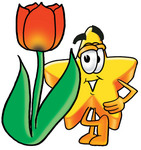 Clip Art Graphic of a Yellow Star Cartoon Character With a Red Tulip Flower in the Spring