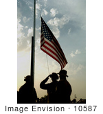 #10587 Picture Of Soldiers Saluting The American Flag