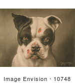 #10748 Picture Of A Tough Dog With Bloody Scratches