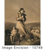#10749 Picture Of A Shepherd In The Wind With His Dog And Sheep