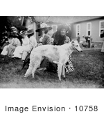 #10758 Picture Of A Russian Wolf Hound At A Mineola Dog Show