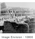 #10800 Picture Of The Flavian Amphitheatre Or Roman Coliseum