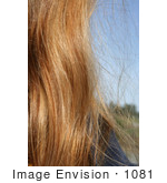 #1081 Image Of A Woman'S Hair With A Color Weave