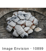 #10899 Picture Of Ash Coated Charcoal On A Grill