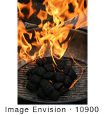 #10900 Picture Of Burning Charcoal Briquettes