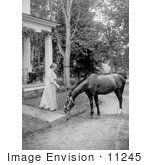 #11245 Picture Of Helen Keller With A Horse In 1907