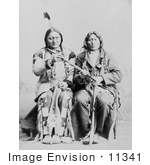 #11341 Picture Of Sitting Bull And One Bull