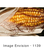 #1139 Picture Of Yellow Corn On The Cob