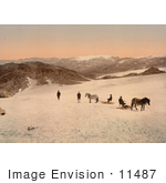 #11487 Picture Of People And Horses On Folgefond Glacier