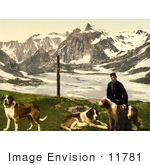 #11781 Picture Of A Man With St Bernard Dogs