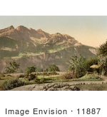 #11887 Picture Of A Garden At Brunig Spring House Switzerland