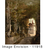 #11918 Picture Of A Road Leading To Tell’S Chapel Switzerland