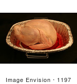 #1197 Thawed And Fresh Thanksgiving Photography