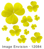 #12084 Picture Of Yellow Clover Leaves