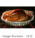 #1210 Photography of a Thanksgiving Turkey Roasting in a Oven by Kenny Adams