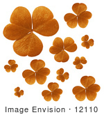 #12110 Picture Of Orange Clovers