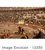 #12350 Picture Of A Bullfighting Scene In Barcelona Spain