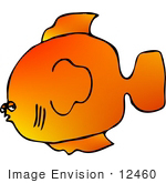 #12460 Orange Fish Clipart