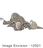 #12521 Group Of Snails Clipart