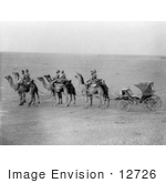 #12726 Picture Of Camels Pulling A Carriage
