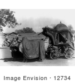 #12734 Picture Of Cows Pulling A Royal Carriage
