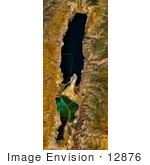 #12876 Picture Of The Dead Sea From Space 2006