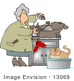#13069 Senior Caucasian Woman Grooming A Dog And Cat Clipart