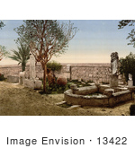 #13422 Picture Of Fountain In The Garden At Carthage Tunisia In 1899