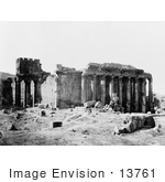 #13761 Picture Of Columns Along The Temple Of Jupiter Baalbek