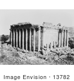 #13782 Picture Of Columns Around The Temple Of Jupiter Baalbek