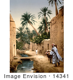 #14341 Picture Of A Man Mule And Boy In Biskra Algeria