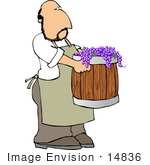 #14836 Grape Farmer Carrying A Barrel Of Purple Grapes Clipart