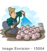 #15004 Caucasian Pig Farmer Washing His Pigs Clipart